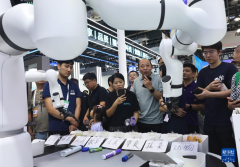 正正在上海举行的2025世界人工智览现场